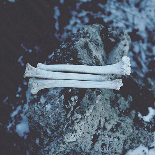 Coldworld : Ruins of MMXVII